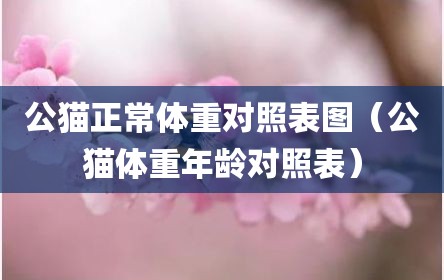 公猫正常体重对照表图（公猫体重年龄对照表）