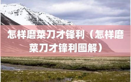 怎样磨菜刀才锋利（怎样磨菜刀才锋利图解）