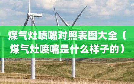 煤气灶喷嘴对照表图大全（煤气灶喷嘴是什么样子的）