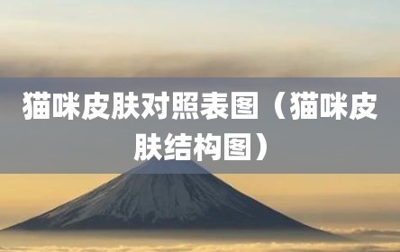 猫咪皮肤对照表图（猫咪皮肤结构图）