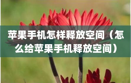 苹果手机怎样释放空间（怎么给苹果手机释放空间）