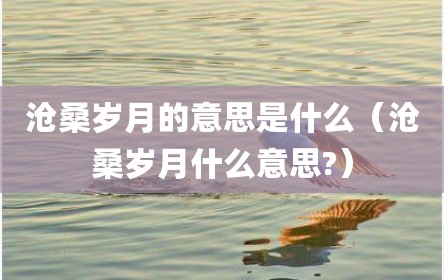 沧桑岁月的意思是什么（沧桑岁月什么意思?）