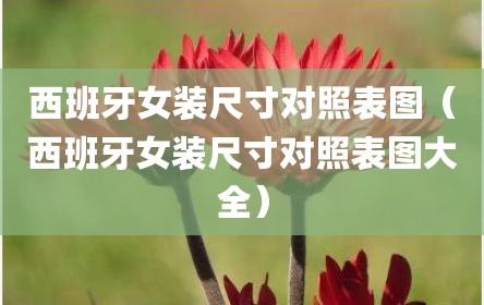 西班牙女装尺寸对照表图（西班牙女装尺寸对照表图大全）
