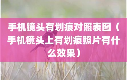 手机镜头有划痕对照表图（手机镜头上有划痕照片有什么效果）