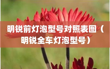 明锐前灯泡型号对照表图（明锐全车灯泡型号）