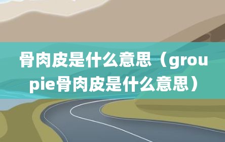 骨肉皮是什么意思（groupie骨肉皮是什么意思）