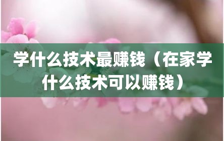 学什么技术最赚钱（在家学什么技术可以赚钱）