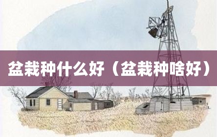 盆栽种什么好（盆栽种啥好）