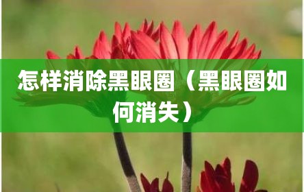 怎样消除黑眼圈（黑眼圈如何消失）