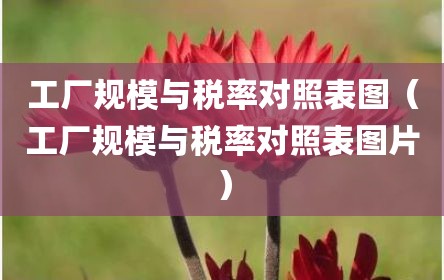 工厂规模与税率对照表图（工厂规模与税率对照表图片）