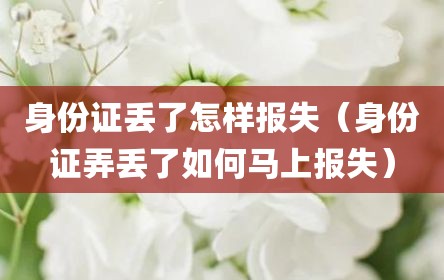 身份证丢了怎样报失（身份证弄丢了如何马上报失）