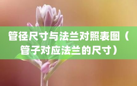 管径尺寸与法兰对照表图（管子对应法兰的尺寸）