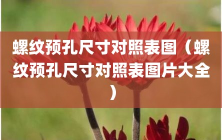 螺纹预孔尺寸对照表图（螺纹预孔尺寸对照表图片大全）