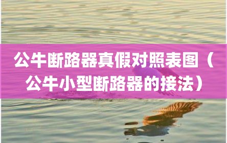 公牛断路器真假对照表图（公牛小型断路器的接法）