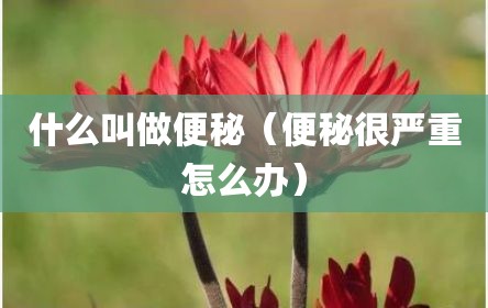 什么叫做便秘（便秘很严重怎么办）