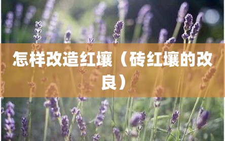怎样改造红壤（砖红壤的改良）
