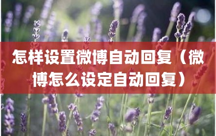 怎样设置微博自动回复（微博怎么设定自动回复）