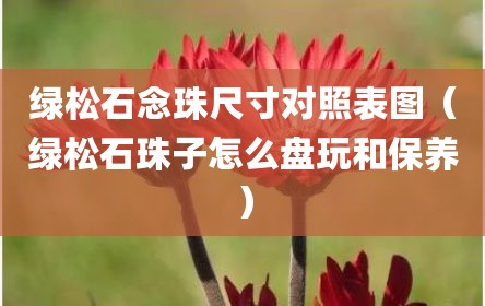 绿松石念珠尺寸对照表图（绿松石珠子怎么盘玩和保养）