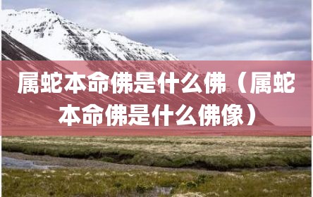 属蛇本命佛是什么佛（属蛇本命佛是什么佛像）