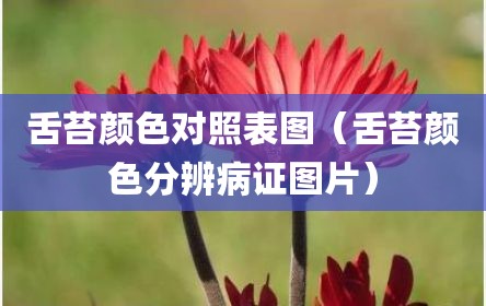 舌苔颜色对照表图（舌苔颜色分辨病证图片）