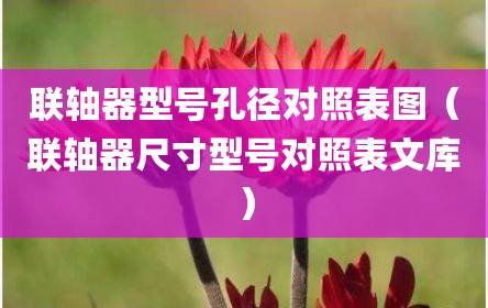 联轴器型号孔径对照表图（联轴器尺寸型号对照表文库）