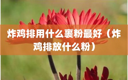 炸鸡排用什么裹粉最好（炸鸡排放什么粉）