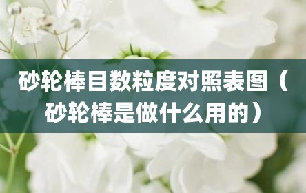砂轮棒目数粒度对照表图（砂轮棒是做什么用的）