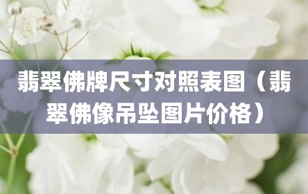 翡翠佛牌尺寸对照表图（翡翠佛像吊坠图片价格）