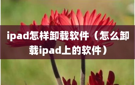 ipad怎样卸载软件（怎么卸载ipad上的软件）