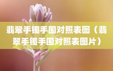 翡翠手镯手围对照表图（翡翠手镯手围对照表图片）
