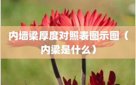 内墙梁厚度对照表图示图（内梁是什么）
