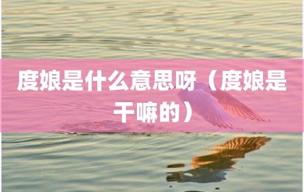 度娘是什么意思呀（度娘是干嘛的）