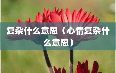 复杂什么意思（心情复杂什么意思）
