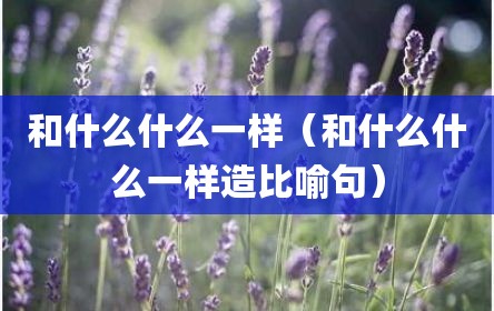 和什么什么一样（和什么什么一样造比喻句）