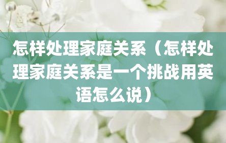 怎样处理家庭关系（怎样处理家庭关系是一个挑战用英语怎么说）