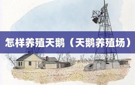 怎样养殖天鹅（天鹅养殖场）