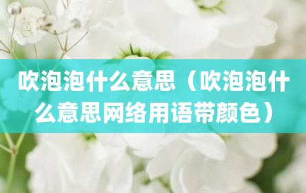 吹泡泡什么意思（吹泡泡什么意思网络用语带颜色）