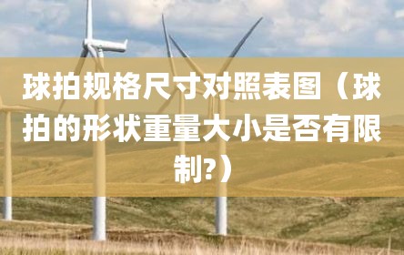 球拍规格尺寸对照表图（球拍的形状重量大小是否有限制?）