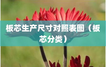 板芯生产尺寸对照表图（板芯分类）