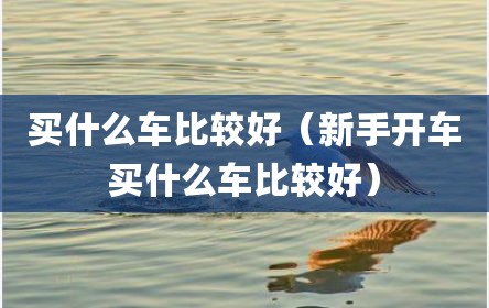 买什么车比较好（新手开车买什么车比较好）