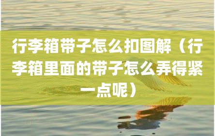 行李箱带子怎么扣图解（行李箱里面的带子怎么弄得紧一点呢）