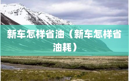新车怎样省油（新车怎样省油耗）
