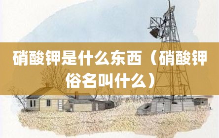 硝酸钾是什么东西（硝酸钾俗名叫什么）