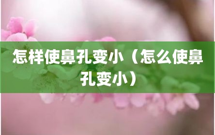 怎样使鼻孔变小（怎么使鼻孔变小）