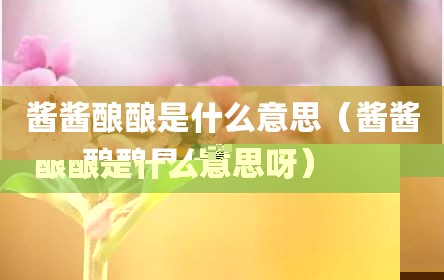 酱酱酿酿是什么意思（酱酱酿酿是什么意思呀）
