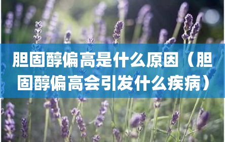 胆固醇偏高是什么原因（胆固醇偏高会引发什么疾病）