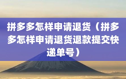 拼多多怎样申请退货（拼多多怎样申请退货退款提交快递单号）