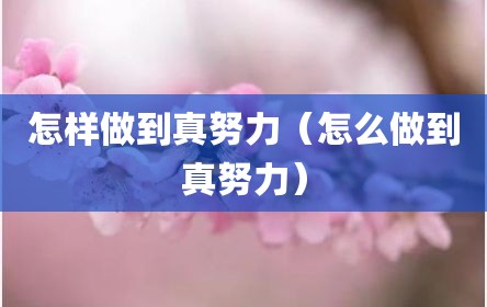怎样做到真努力（怎么做到真努力）