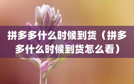 拼多多什么时候到货（拼多多什么时候到货怎么看）