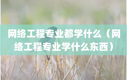 网络工程专业都学什么（网络工程专业学什么东西）